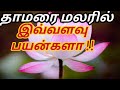 Lotus Flower Remedy for BP/Blood Pressure, Heart Disease | Thamarai poo payangal| Lotus benefits in tamil