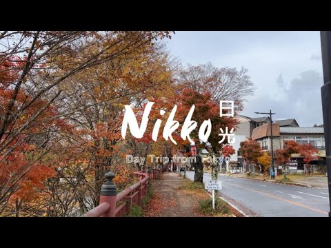 Autumn Escape from Tokyo: Nikko in 12 Hours 🍂