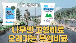 오래가는 복합비료 나무에 고형비료 시비하기 고형비료를 쓰는이유 산림용고형비료 조경용고형비료 