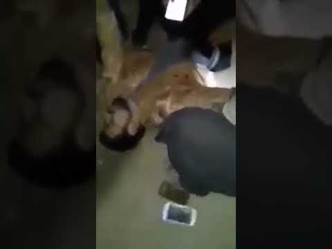 إطلاق عناصر فيلق الشام الرصاص على مجموعة من الشباب في باصوفان في عفرين