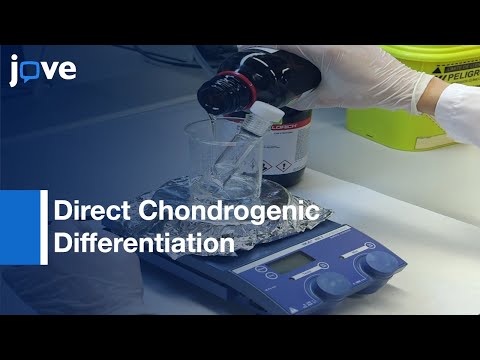Dendrimer-Based Uneven Nanopatterns To Locally Control Surface Adhesiveness l Protocol Preview