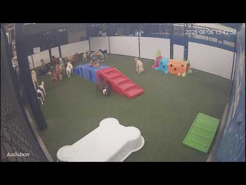 Audubon Webcam in Jefferson