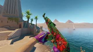 AK 47 Wild Lotus FN + Gloves Ultra Violent FN
