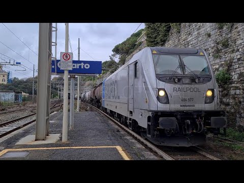 MRS 51307 RHO - Scarlino