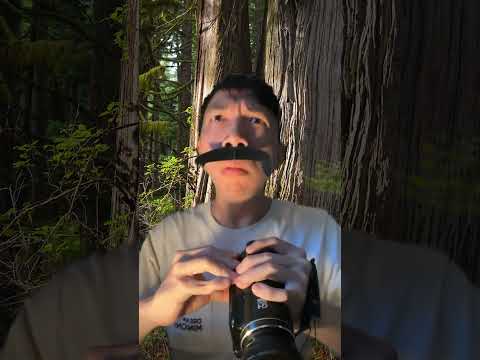 Welcome to Earth 210 million years ago and see dinosaurs #shorts
