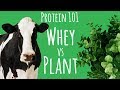Whey Versus Plant Protein