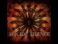 Suicide Silence - Misleading Milligrams (bonus No ...