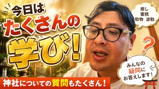 癒し　霊視　動物　波動