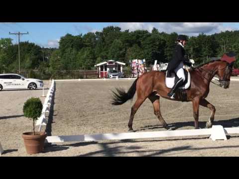 Aliance Real - Prix St Georges