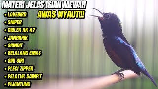 Download lagu KONIN GACOR FIGHTER AMPUH BIKIN KOLIBRI NINJA LAIN IKUT NGEROLL TEMBAKAN MEWAH mp3
