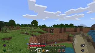久々マイクラ
