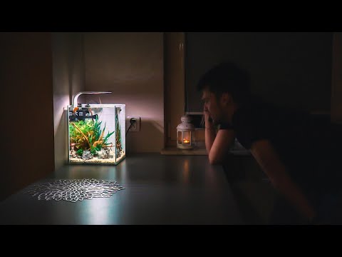 AQUAEL SHRIMP SET - metamorfoza w 4 minuty czyli jak odpicowałem akwarium moich znajomych!