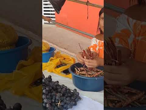 Feira de Taquarana em Alagoas