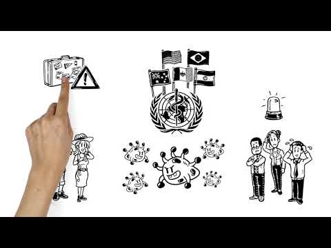 ジカウイルス:解読された構造