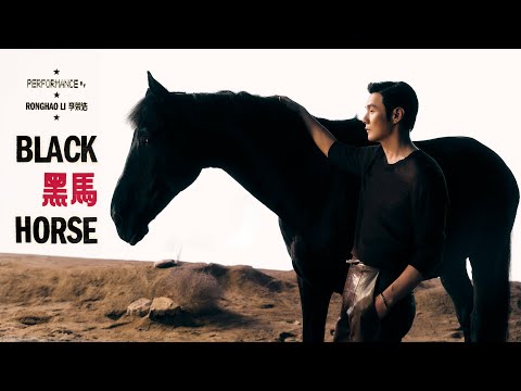 李榮浩 Ronghao Li《黑馬 Black Horse》Official Music Video