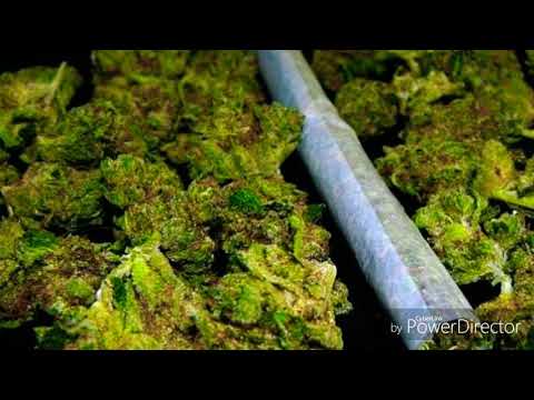 Gustavo Palafox Ft. Banda La Suprema "ME APODAN CHAVA"