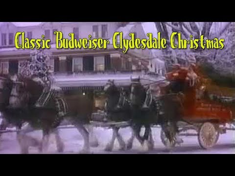 Classic Budweiser Clydesdales Christmas Commercial