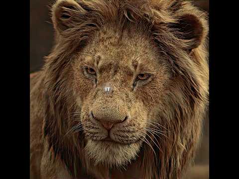 💖 Simba always thought that he was the one who killed Mufasa. 💖 #edit #movie #shorts