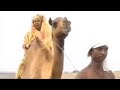 Minalush Reta - Ethio-Sudanese music ምናሉሽ ረታ
