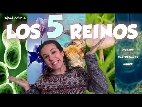 download lagu mp3 mp4 Reinos De La Vida, download lagu Reinos De La Vida gratis, unduh video klip Reinos De La Vida