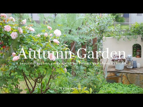 アイビー つる植物 素朴な常緑樹の庭のバルコニー