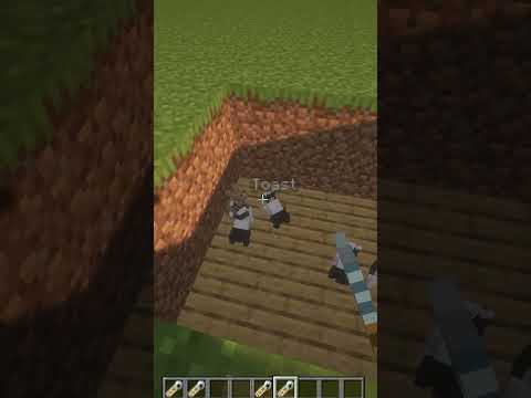 EnvCraft - Easter eggs in minecraft