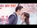 ENG SUB [Be My Cat] EP11 | Fantasy Costume Romantic Drama | starring: Tian Xi Wei, Kevin Xiao