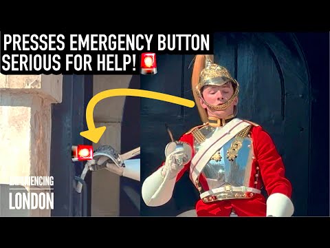 KING’S GUARD PRESSES EMERGENCY BUZZER FOR SERIOUS HELP! | Horse Guards, Kings guard, royal guard