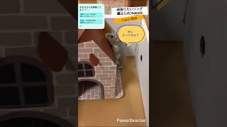 【頑張りたいソング】おもちさんはレンガのお家に入る？🐹🏠️【轟はじめ/ReGLOSS】