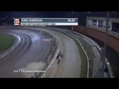 2019 BRITISH BRED DERBY - 3RD SEMI - T6 KING SHEERAN