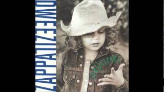 &quot;Bad Girl&quot; by Dweezil Zappa
