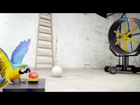 Rapido-Schubladen bei der MDR Sendung - "Einfach genial"