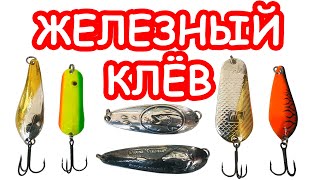 Лучшая блесна осенью на щуку