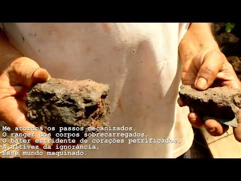 Amargo Passado Dourado