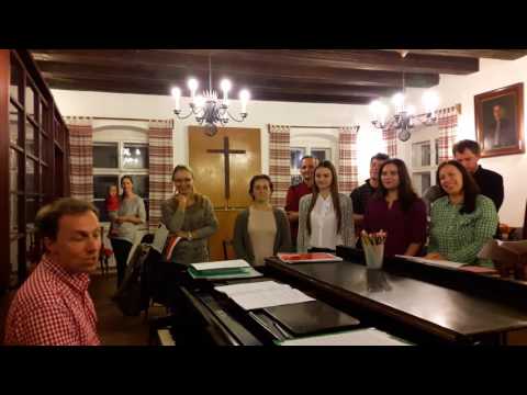 Musica Coronensis 2016 - Jugendbachchor Brașov