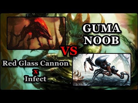 [Pauper] RED GLASS CANNON X INFECT / Feat. Guma Noob