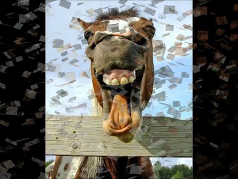 Clara Nunes e Sivuca.wmv