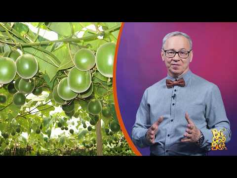 Всё обо всём. Архат. Выпуск от 16.02.26