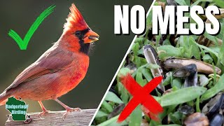 How to Stop Bird Seed Mess Forever! (5 Simple Fixes)