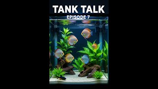 Tank Talk - Episode 7