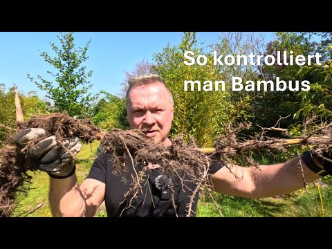 Different types of bamboo control