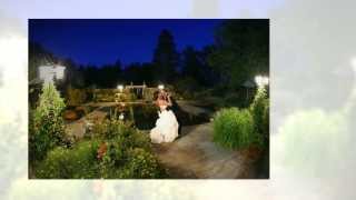 preview picture of video 'Christina and Brian's Wedding'