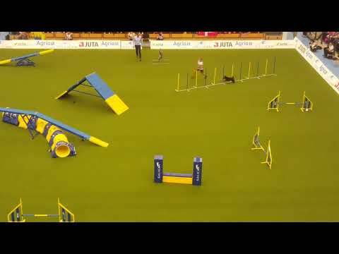 KIKI 1st place Martina Magnoli Klimesova Medium Agility AWC 2018