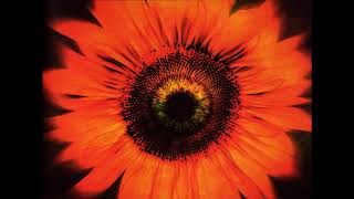 Lacuna Coil - Comalies [2004 Deluxe Edition] (Full Album)