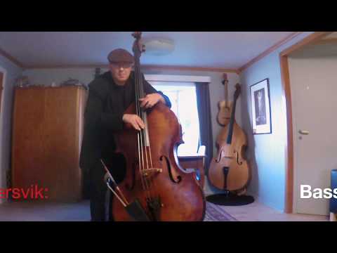 Lonely Woman (Ornette Coleman) - solo bass version!