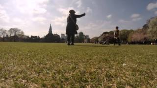 2015-04-09 In the park, Tokyo