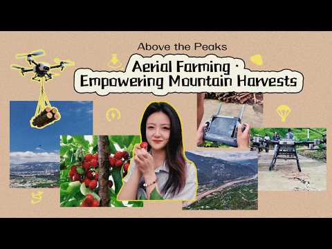 Above the Peaks Ep.2 | Aerial farming: Empowering mountain harvests