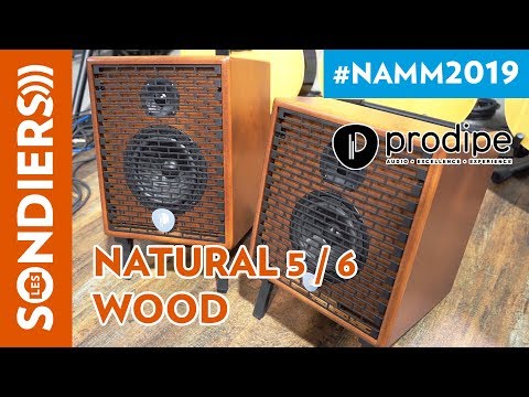 Демонстрация комбоусилителей Prodipe Natural 5 и Natural 6