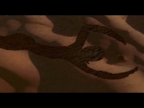 Az angol beteg Sebestyén Márta Nyitódal