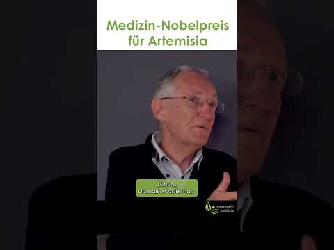 Medizin-Nobelpreis für Artemisia